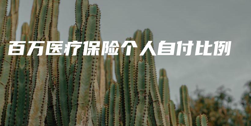 百万医疗保险个人自付比例-PLB