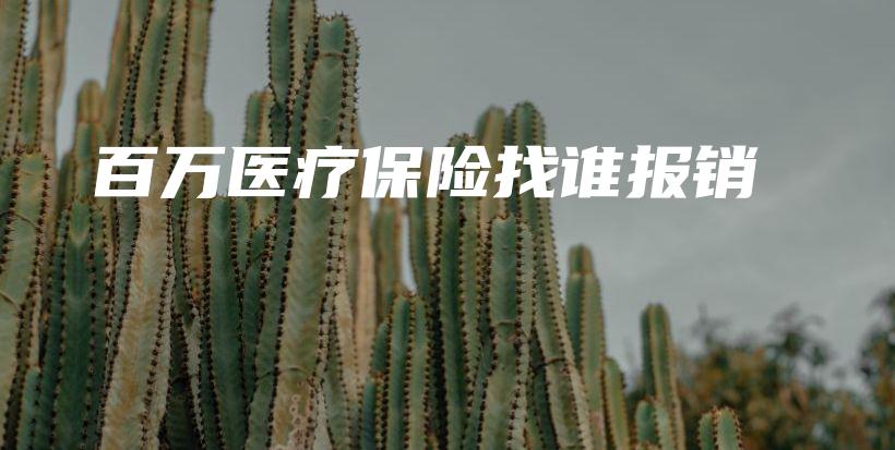 百万医疗保险找谁报销-PLB