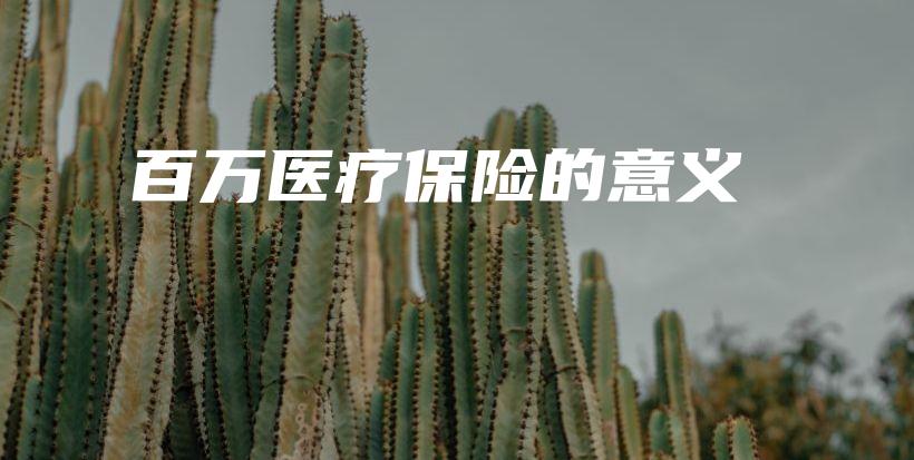 百万医疗保险的意义-PLB