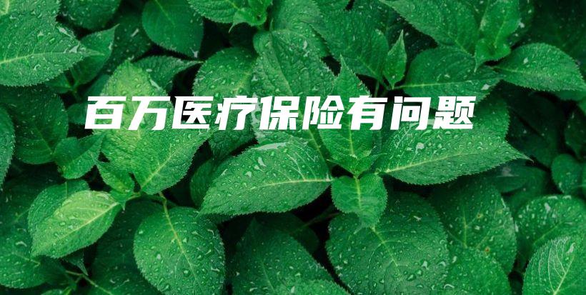 百万医疗保险有问题-PLB