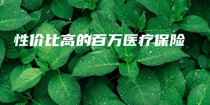 性价比高的百万医疗保险-PLB