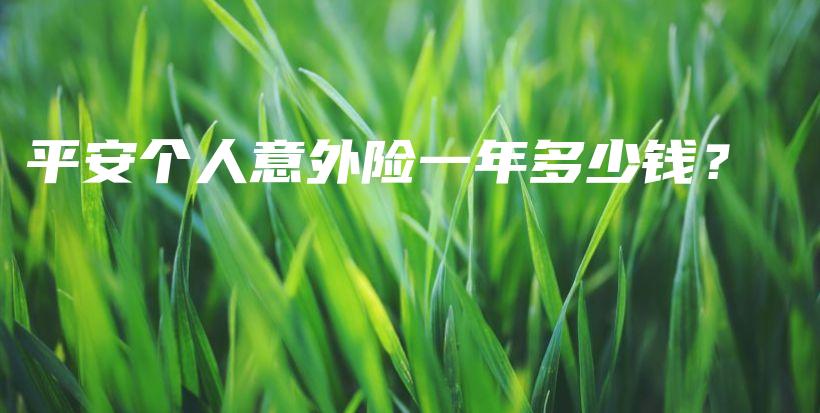 平安个人意外险一年多少钱？-PLB