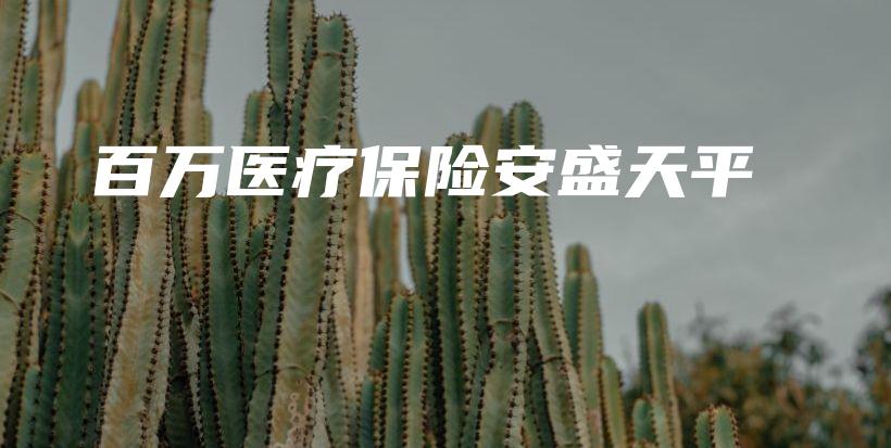 百万医疗保险安盛天平-PLB