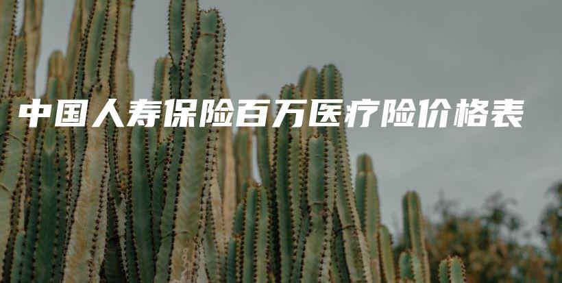 中国人寿保险百万医疗险价格表-PLB