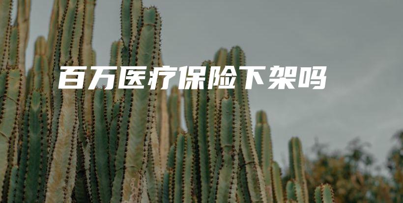 百万医疗保险下架吗-PLB