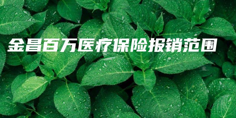 金昌百万医疗保险报销范围-PLB