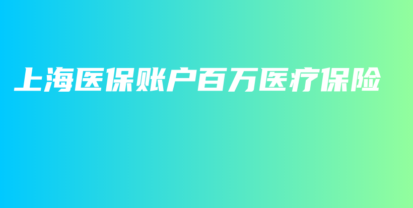 上海医保账户百万医疗保险-PLB