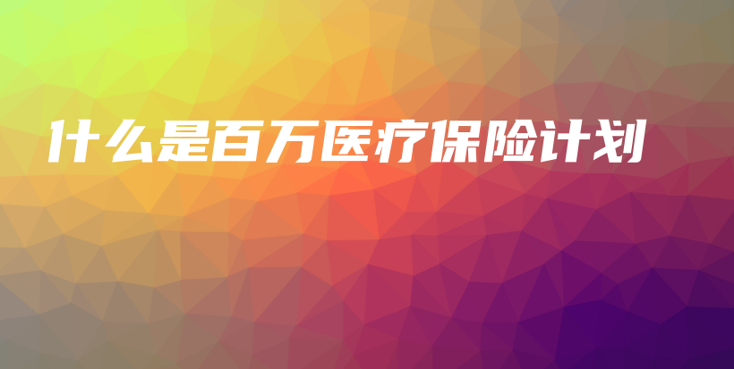 什么是百万医疗保险计划-PLB