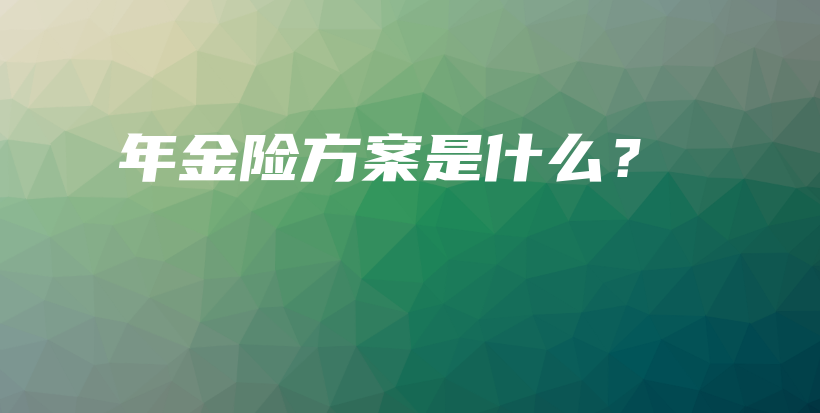 年金险方案是什么？-PLB