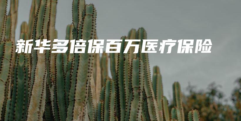 新华多倍保百万医疗保险-PLB