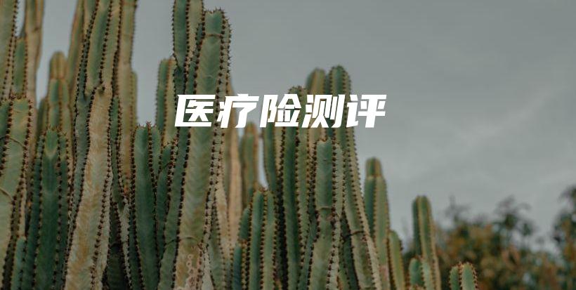 医疗险测评-PLB