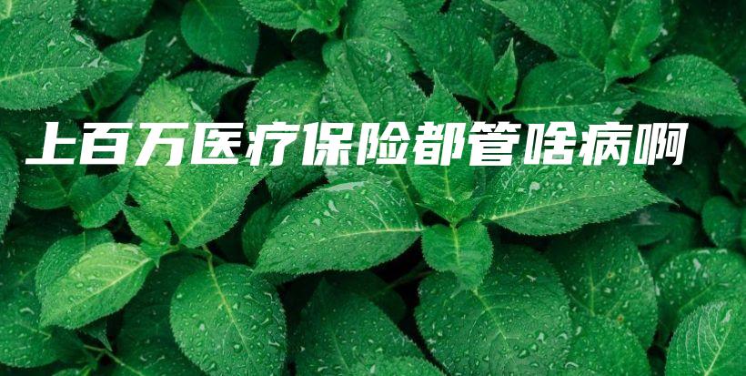 上百万医疗保险都管啥病啊-PLB