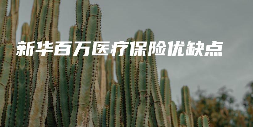 新华百万医疗保险优缺点-PLB