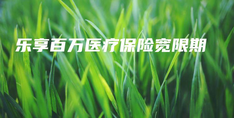 乐享百万医疗保险宽限期-PLB