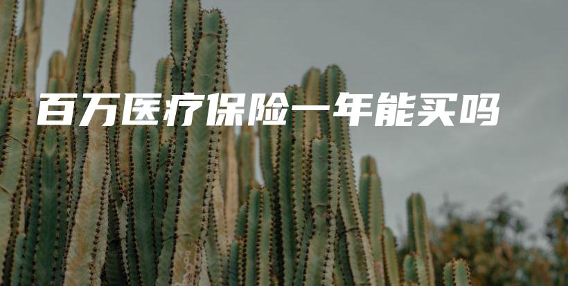 百万医疗保险一年能买吗-PLB