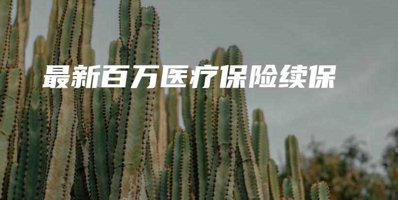 最新百万医疗保险续保-PLB