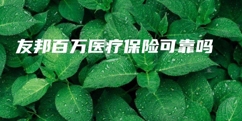 友邦百万医疗保险可靠吗-PLB