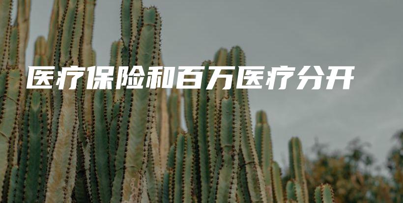 医疗保险和百万医疗分开-PLB