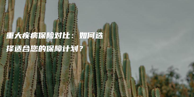 重大疾病保险对比：如何选择适合您的保障计划？-PLB