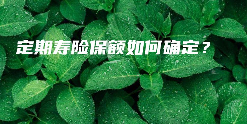 定期寿险保额如何确定？-PLB