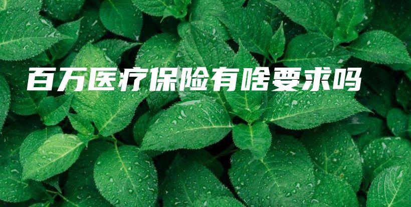 百万医疗保险有啥要求吗-PLB