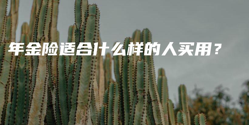 年金险适合什么样的人买用？-PLB