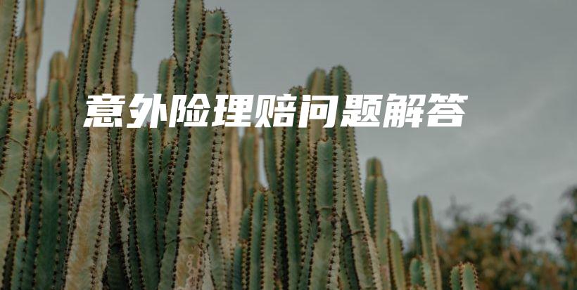 意外险理赔问题解答-PLB