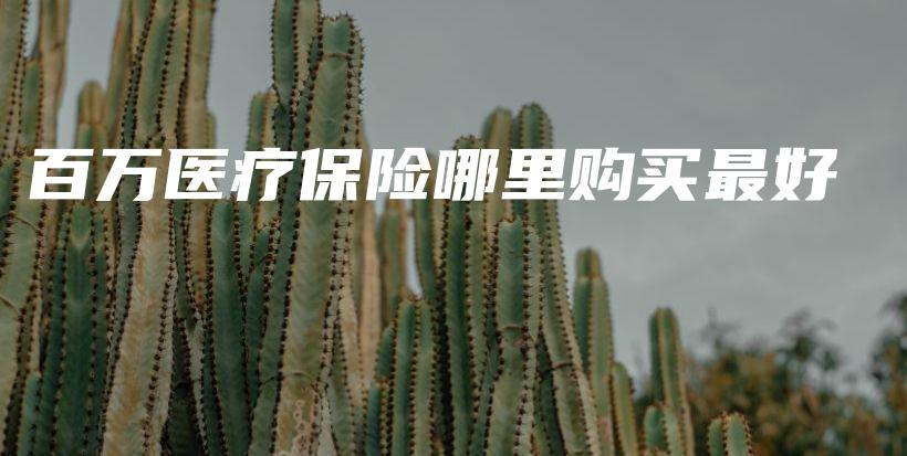 百万医疗保险哪里购买最好-PLB