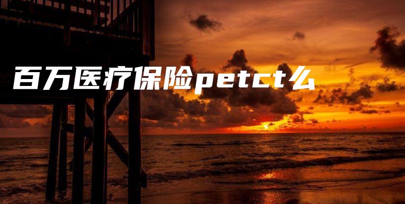 百万医疗保险petct么-PLB