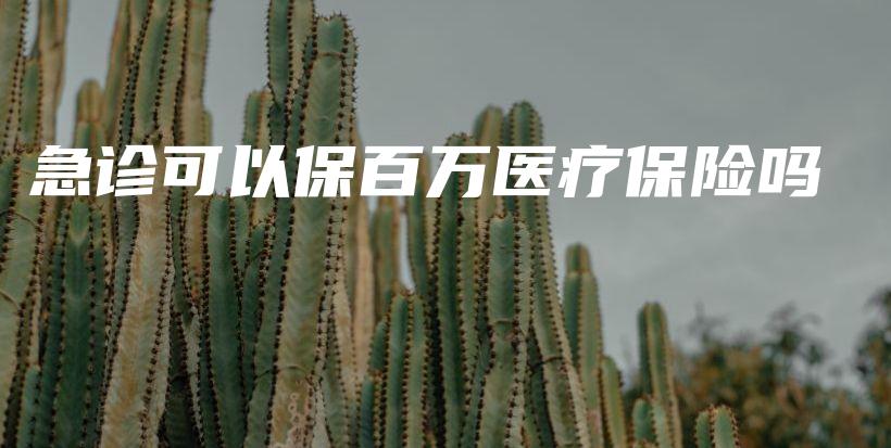 急诊可以保百万医疗保险吗-PLB