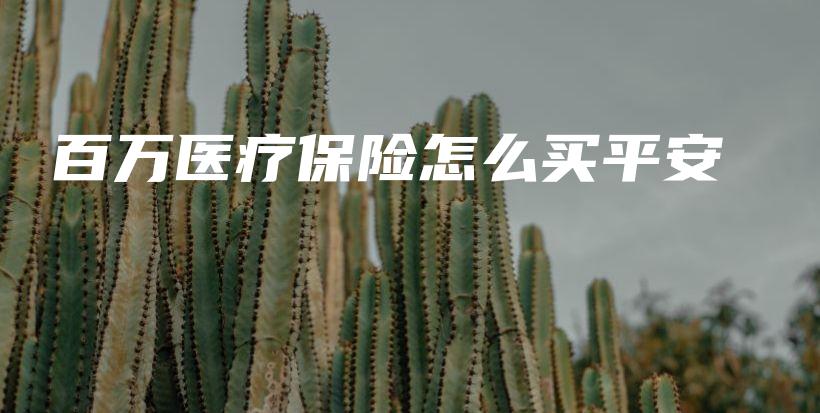 百万医疗保险怎么买平安-PLB