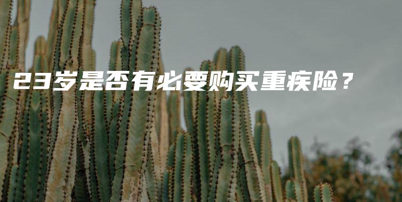 23岁是否有必要购买重疾险？-PLB