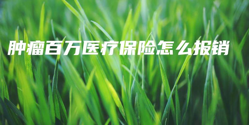 肿瘤百万医疗保险怎么报销-PLB