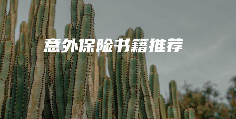 意外保险书籍推荐-PLB