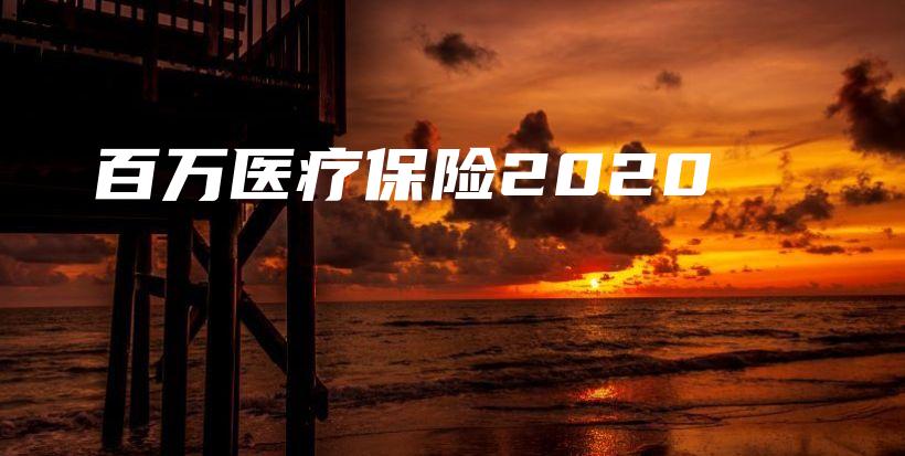 百万医疗保险2020-PLB