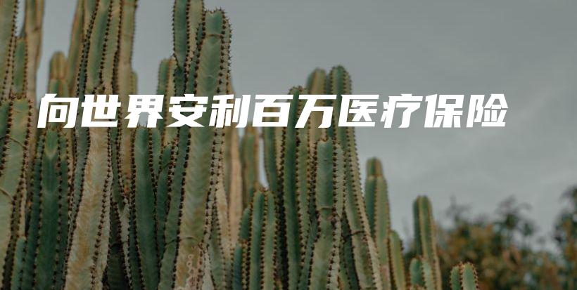 向世界安利百万医疗保险-PLB