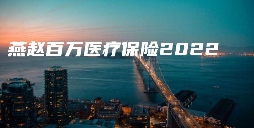 燕赵百万医疗保险2022-PLB