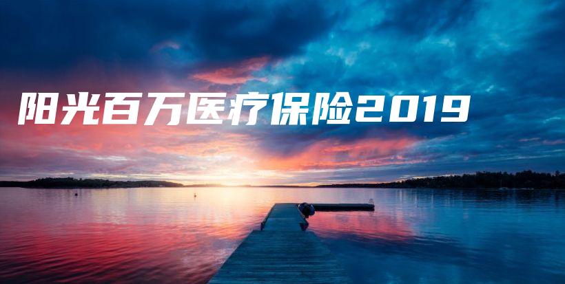 阳光百万医疗保险2019-PLB