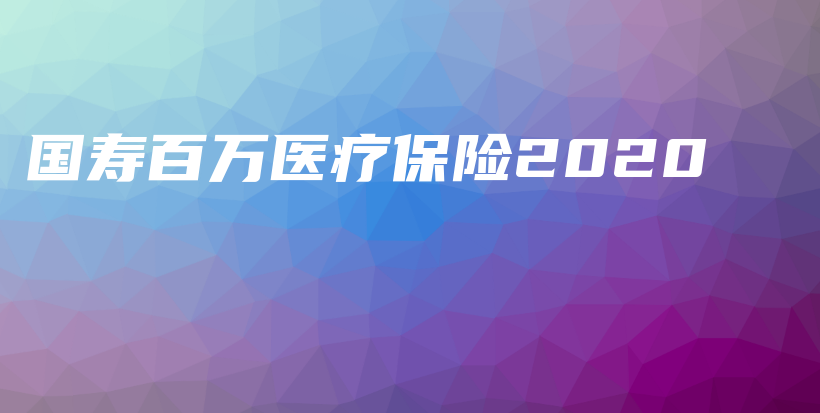 国寿百万医疗保险2020-PLB