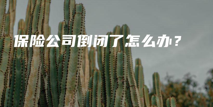 保险公司倒闭了怎么办？-PLB