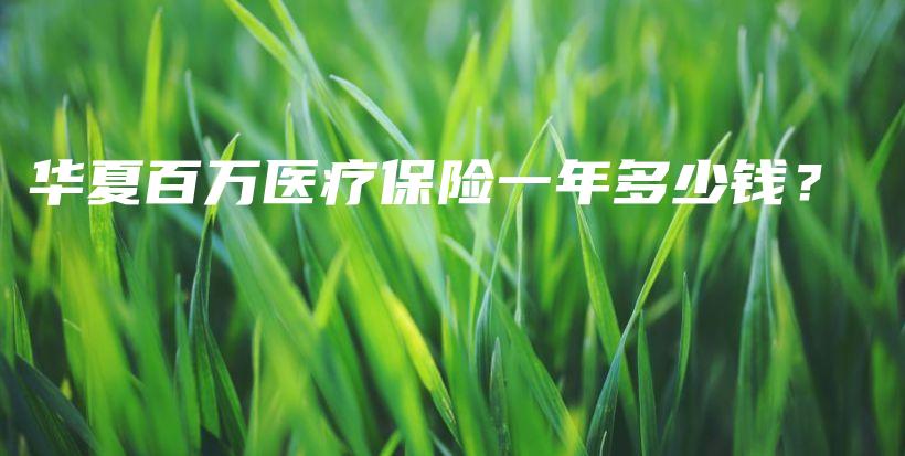 华夏百万医疗保险一年多少钱？-PLB