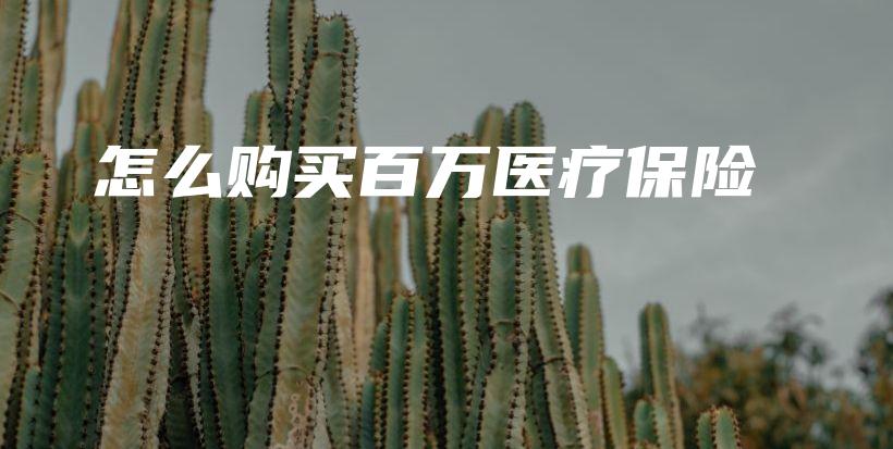 怎么购买百万医疗保险-PLB