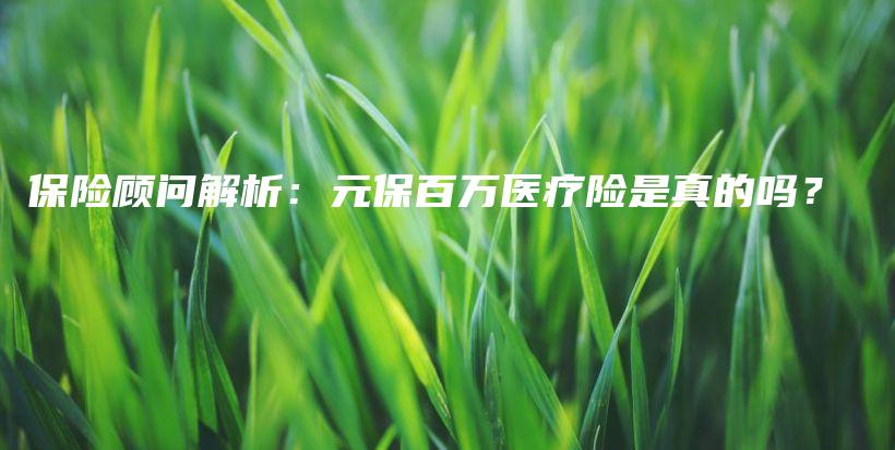 保险顾问解析：元保百万医疗险是真的吗？-PLB