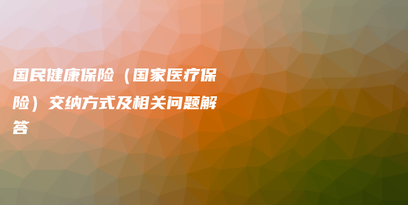 国民健康保险（国家医疗保险）交纳方式及相关问题解答-PLB