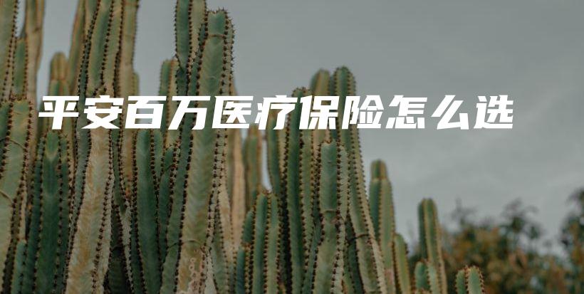 平安百万医疗保险怎么选-PLB