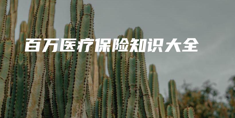 百万医疗保险知识大全-PLB