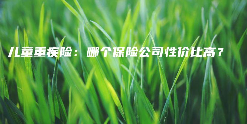 儿童重疾险：哪个保险公司性价比高？-PLB