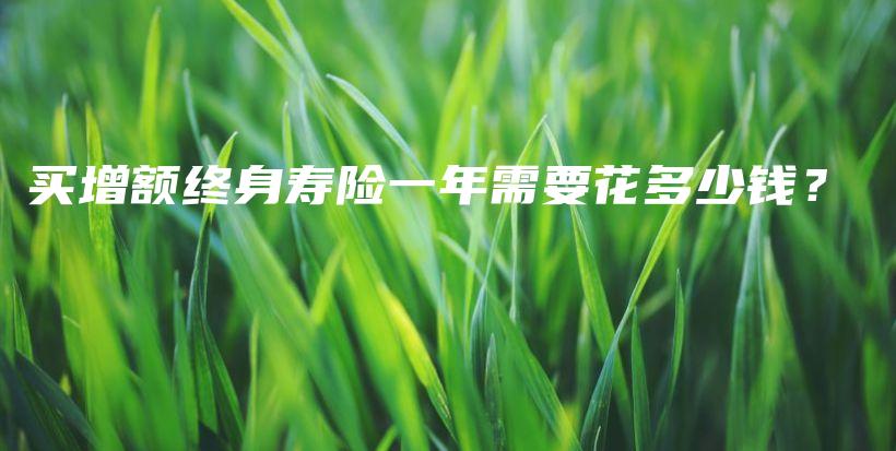 买增额终身寿险一年需要花多少钱？-PLB