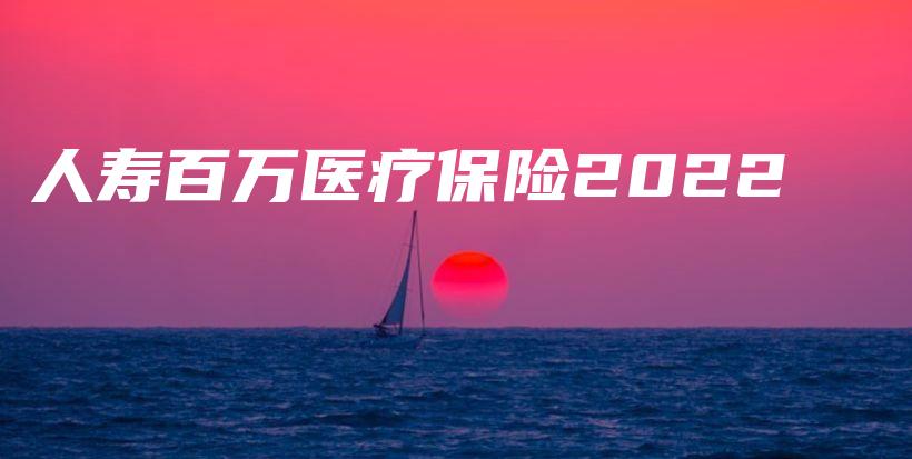 人寿百万医疗保险2022-PLB