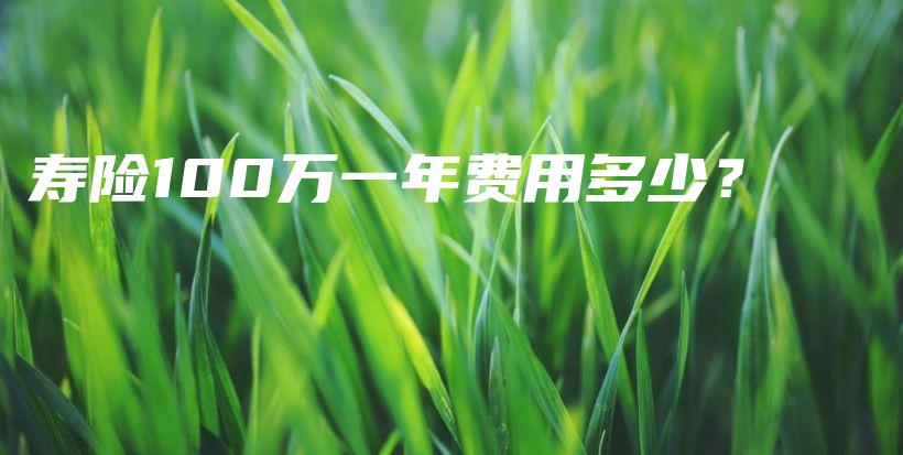 寿险100万一年费用多少？-PLB